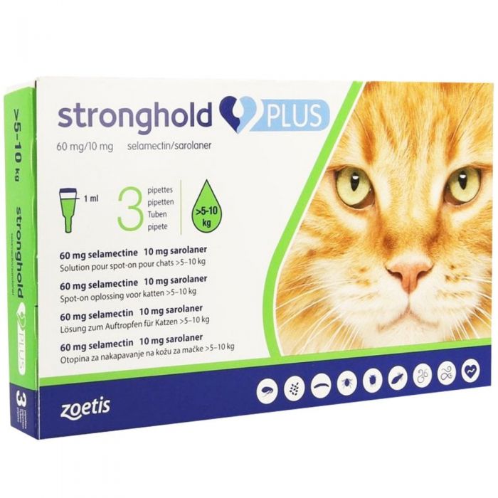 STRONGHOLD PLUS